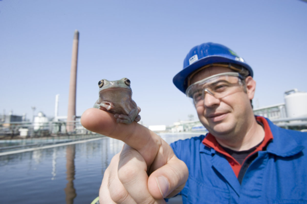 Unser Frosch bei der OMV